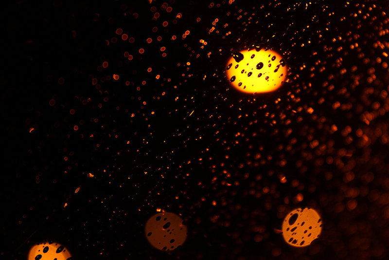 Illustration for article titled Shooting Challenge: Bokeh, Gallery 1